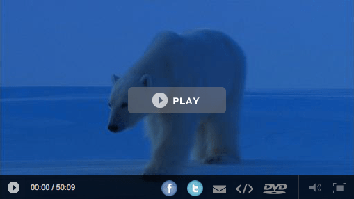 Polar_Bears.png Polar Bears
